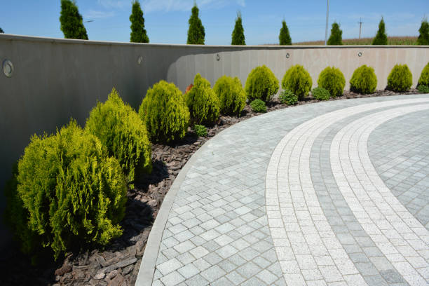 Best Custom Driveway Pavers  in Walker Mill, MD